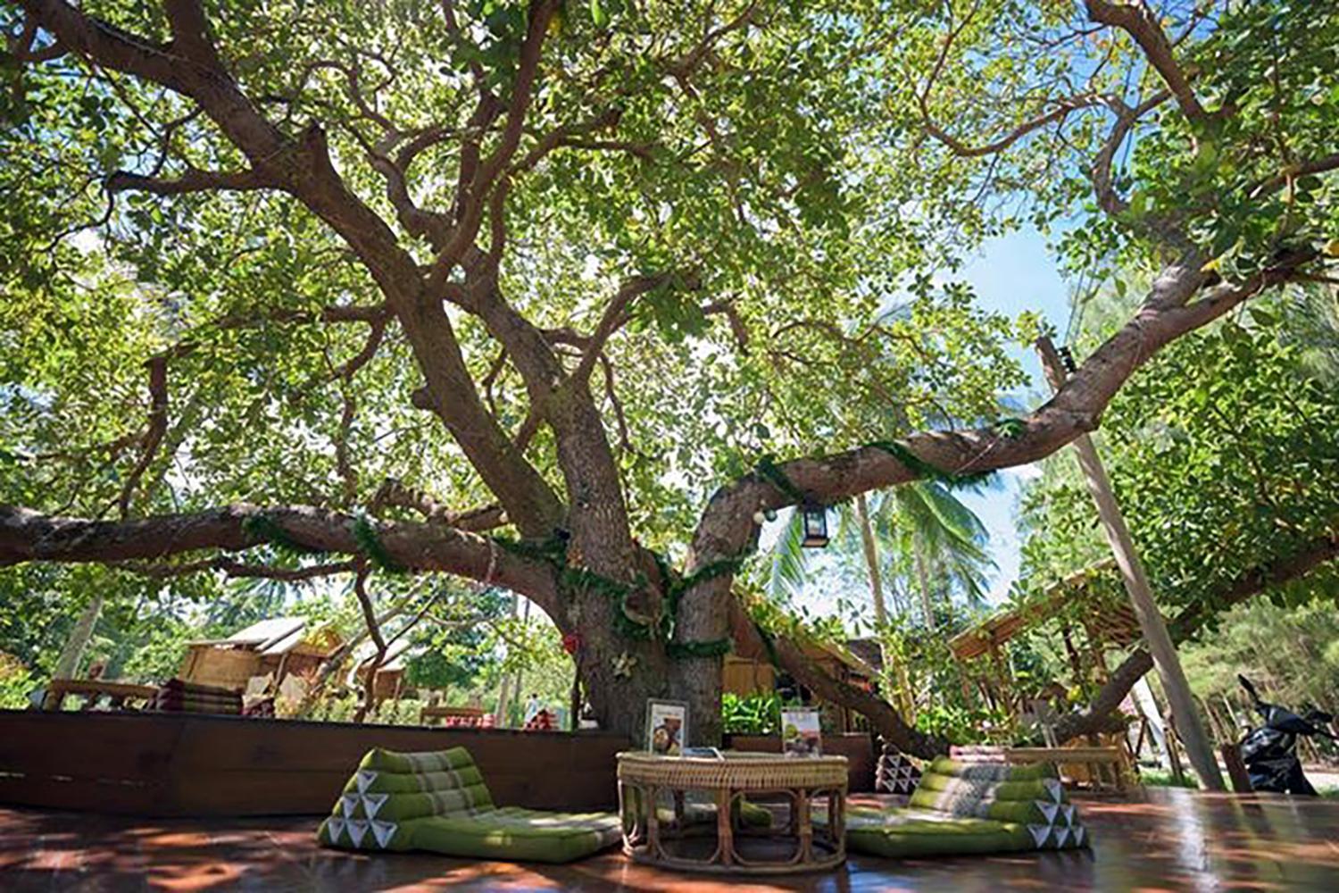 Coffee And Resort Koh Phayam Exteriör bild